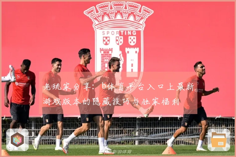 老玩家分享：b体育平台入口上最新游戏版本的隐藏技巧与独家福利