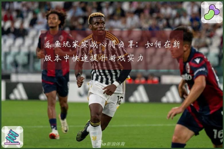 乐鱼玩家实战心得分享：如何在新版本中快速提升游戏实力