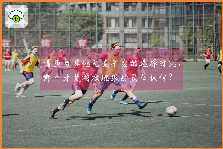 博鱼与其他电竞平台的选择对比，哪个才是游戏玩家的最佳伙伴？